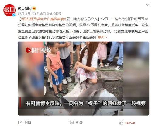 打假网红吃瓜事件视频大全,视频大全背后的真相与争议 第2张 打假网红吃瓜事件视频大全,视频大全背后的真相与争议 第2张